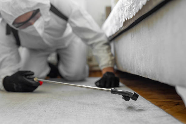 Professional Ant Control technician working in Alpine, TX